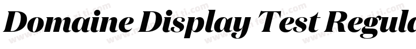 Domaine Display Test Regular字体转换